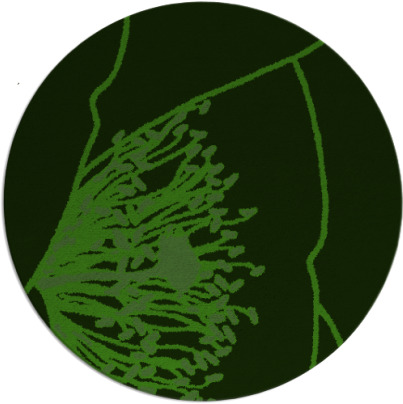 i spy rug - item 1127026