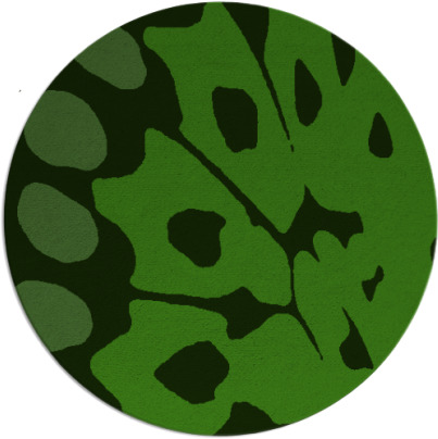 wings rug - item 1127243