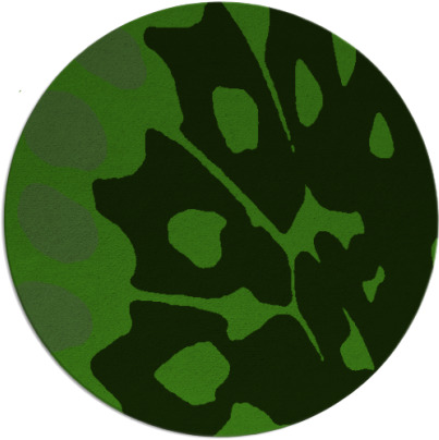 wings rug - item 1127244