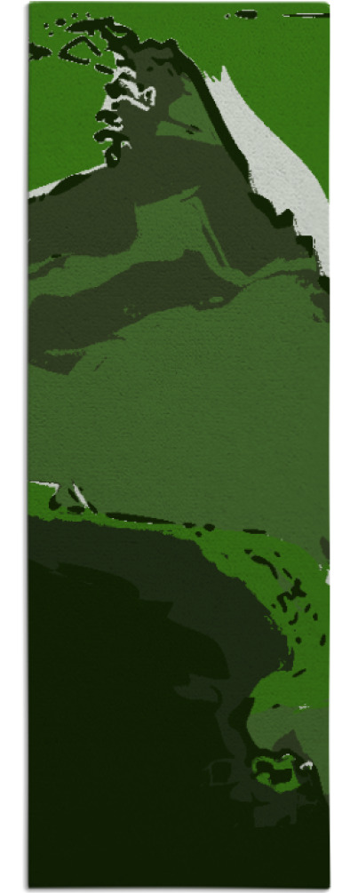 slick rug - item 1128429