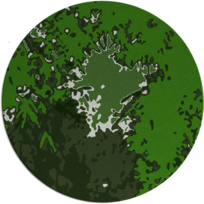 celebration rug - item 1128923