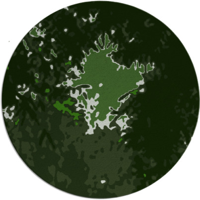 celebration rug - item 1128924