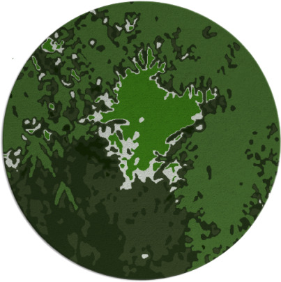 celebration rug - item 1128925