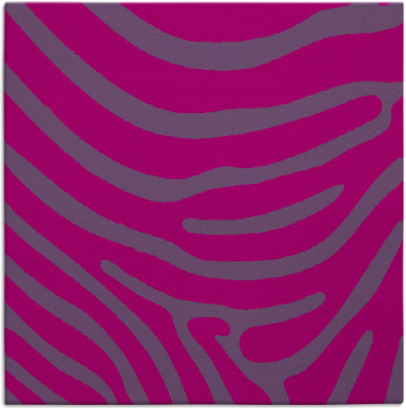 proud zebra rug - item 1135493