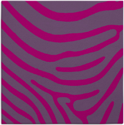 proud zebra rug - item 1135494