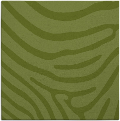 proud zebra rug - item 1135501