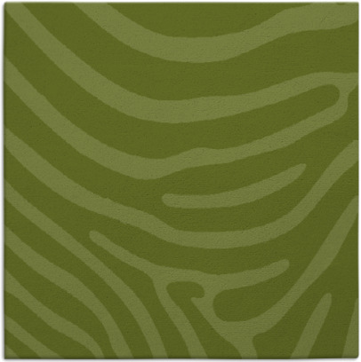 proud zebra rug - item 1135502