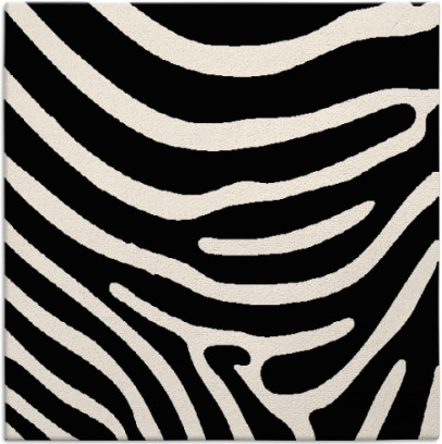 proud zebra rug - item 1135515