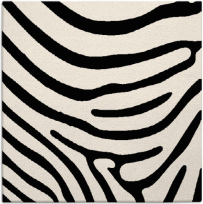 proud zebra rug - item 1135516