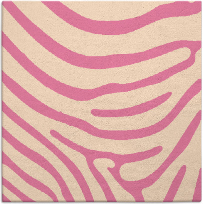 proud zebra rug - item 1135524