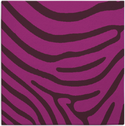 proud zebra rug - item 1135537