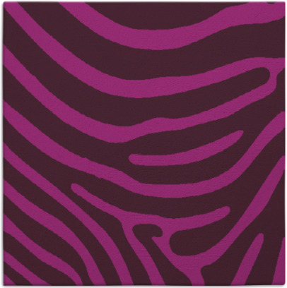 proud zebra rug - item 1135538