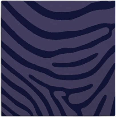 proud zebra rug - item 1135539