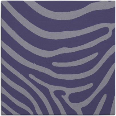 proud zebra rug - item 1135543