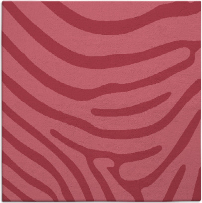 proud zebra rug - item 1135549