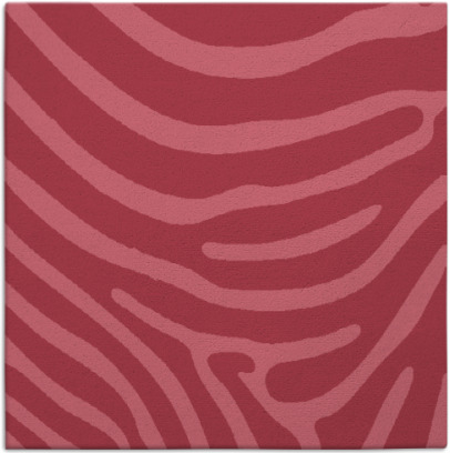 proud zebra rug - item 1135550