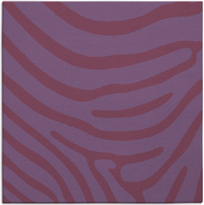 proud zebra rug - item 1135553