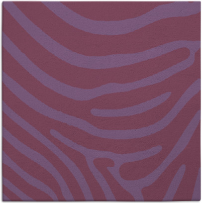 proud zebra rug - item 1135554