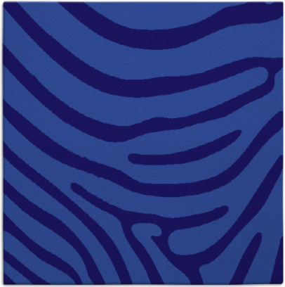 proud zebra rug - item 1135556