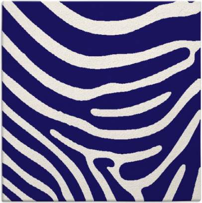 proud zebra rug - item 1135557