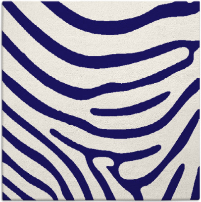 proud zebra rug - item 1135558