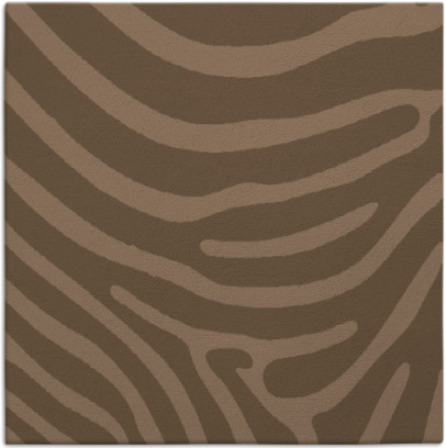 proud zebra rug - item 1135562