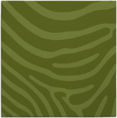 proud zebra rug - item 1135580