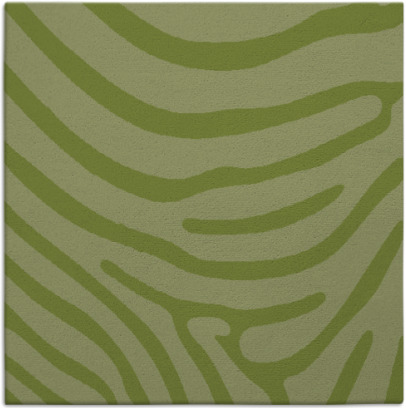 proud zebra rug - item 1135582