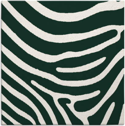 proud zebra rug - item 1135590