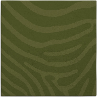 proud zebra rug - item 1135591