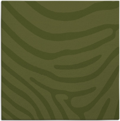 proud zebra rug - item 1135592