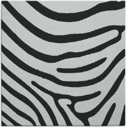 proud zebra rug - item 1135602