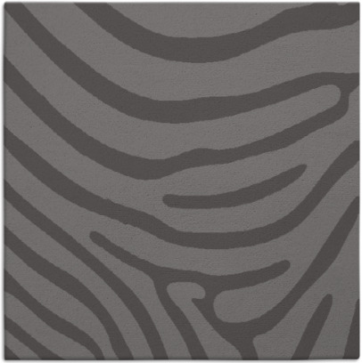 proud zebra rug - item 1135607