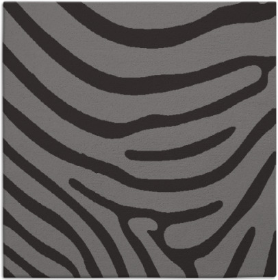 proud zebra rug - item 1135609