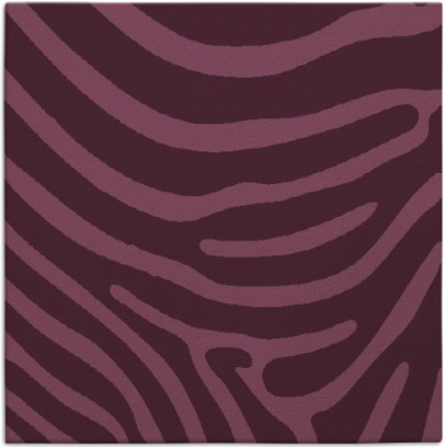 proud zebra rug - item 1135621