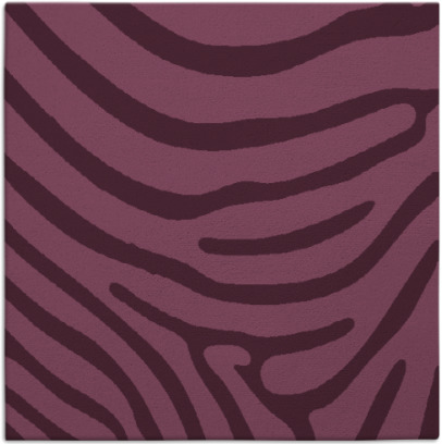 proud zebra rug - item 1135622