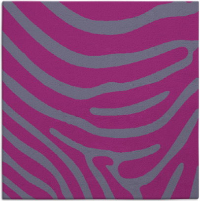 proud zebra rug - item 1135624