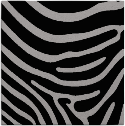 proud zebra rug - item 1135631