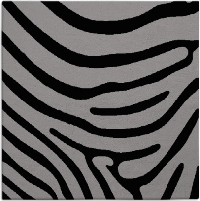 proud zebra rug - item 1135634