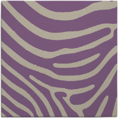 proud zebra rug - item 1135639