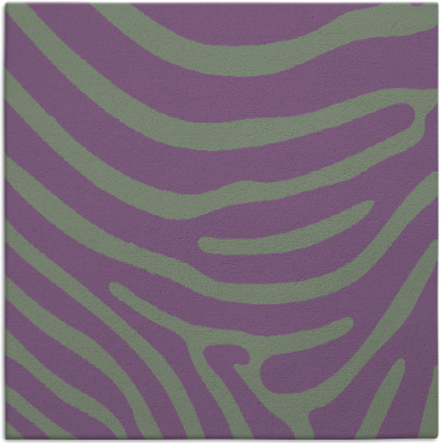 proud zebra rug - item 1135641