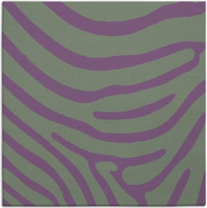 proud zebra rug - item 1135642