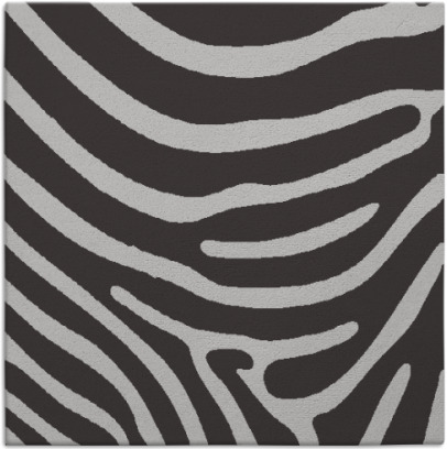 proud zebra rug - item 1135647