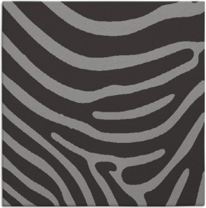 proud zebra rug - item 1135649