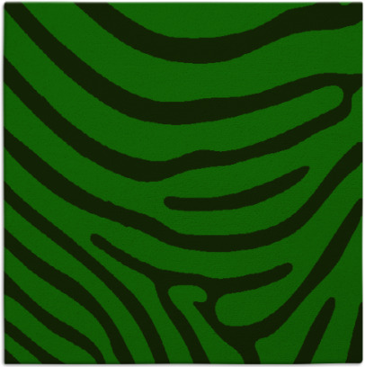 proud zebra rug - item 1135660