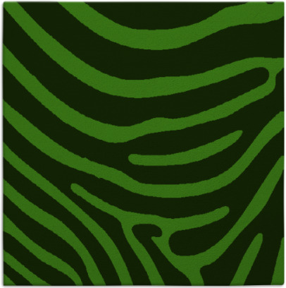 proud zebra rug - item 1135661