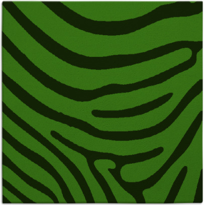 proud zebra rug - item 1135662