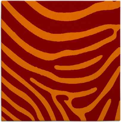 proud zebra rug - item 1135663