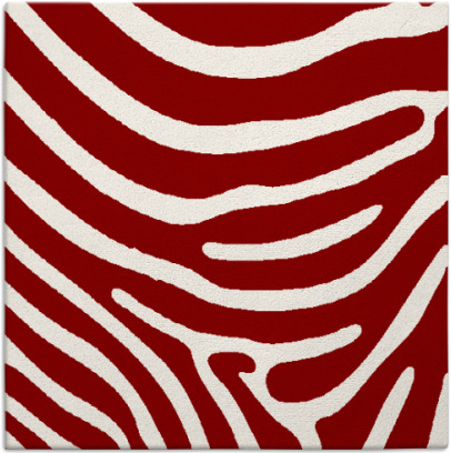 proud zebra rug - item 1135670