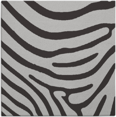 proud zebra rug - item 1135675